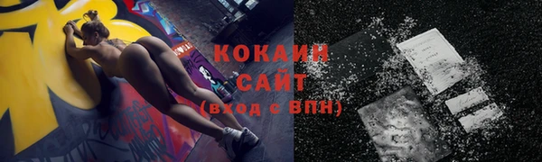 сатива Горнозаводск