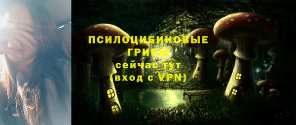 сатива Горнозаводск