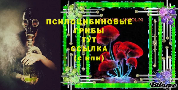 сатива Горнозаводск
