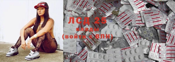 сатива Горнозаводск