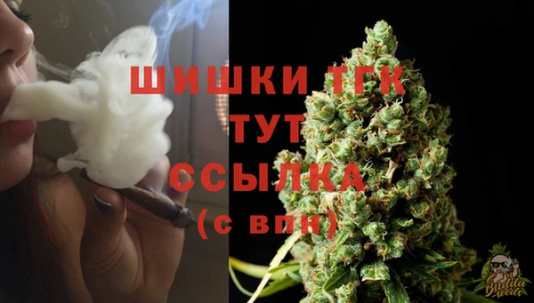 прущие грибы Вязьма