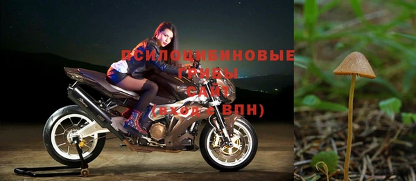 мяу мяу кристалл Горно-Алтайск